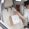 Car Hook Seat Back Small Hook Cute Cartoon Rear Multi-Function Rear Seat Hook Car Accessories
